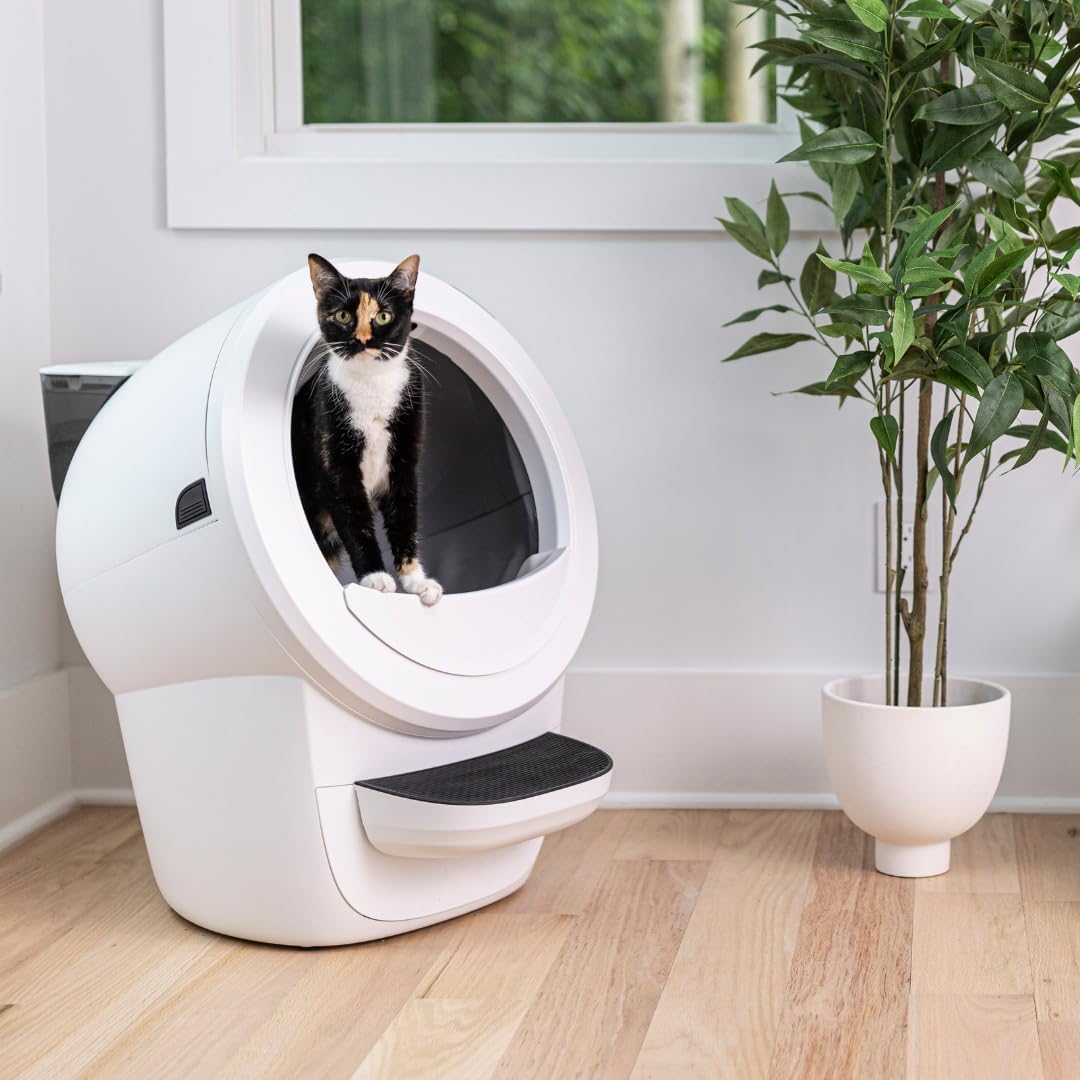 Litter-Robot 4 with Step & Fence (White)